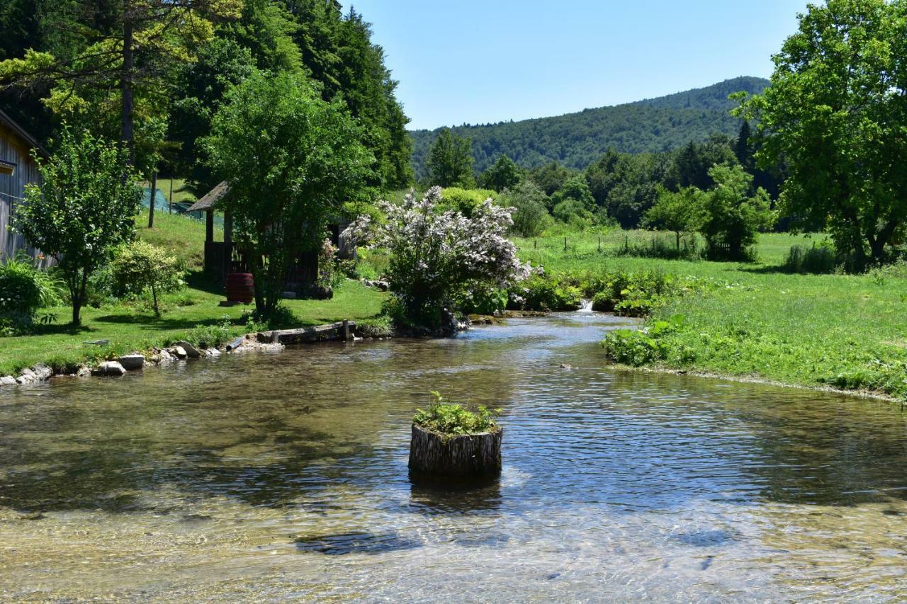 Plitvička Jezera Plitvice Panta Reiゲストハウス エクステリア 写真