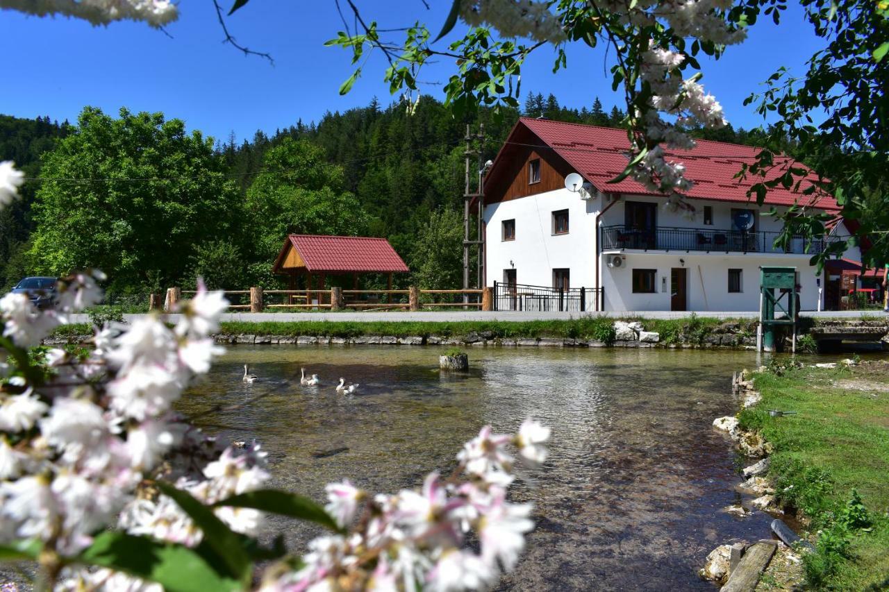 Plitvička Jezera Plitvice Panta Reiゲストハウス エクステリア 写真