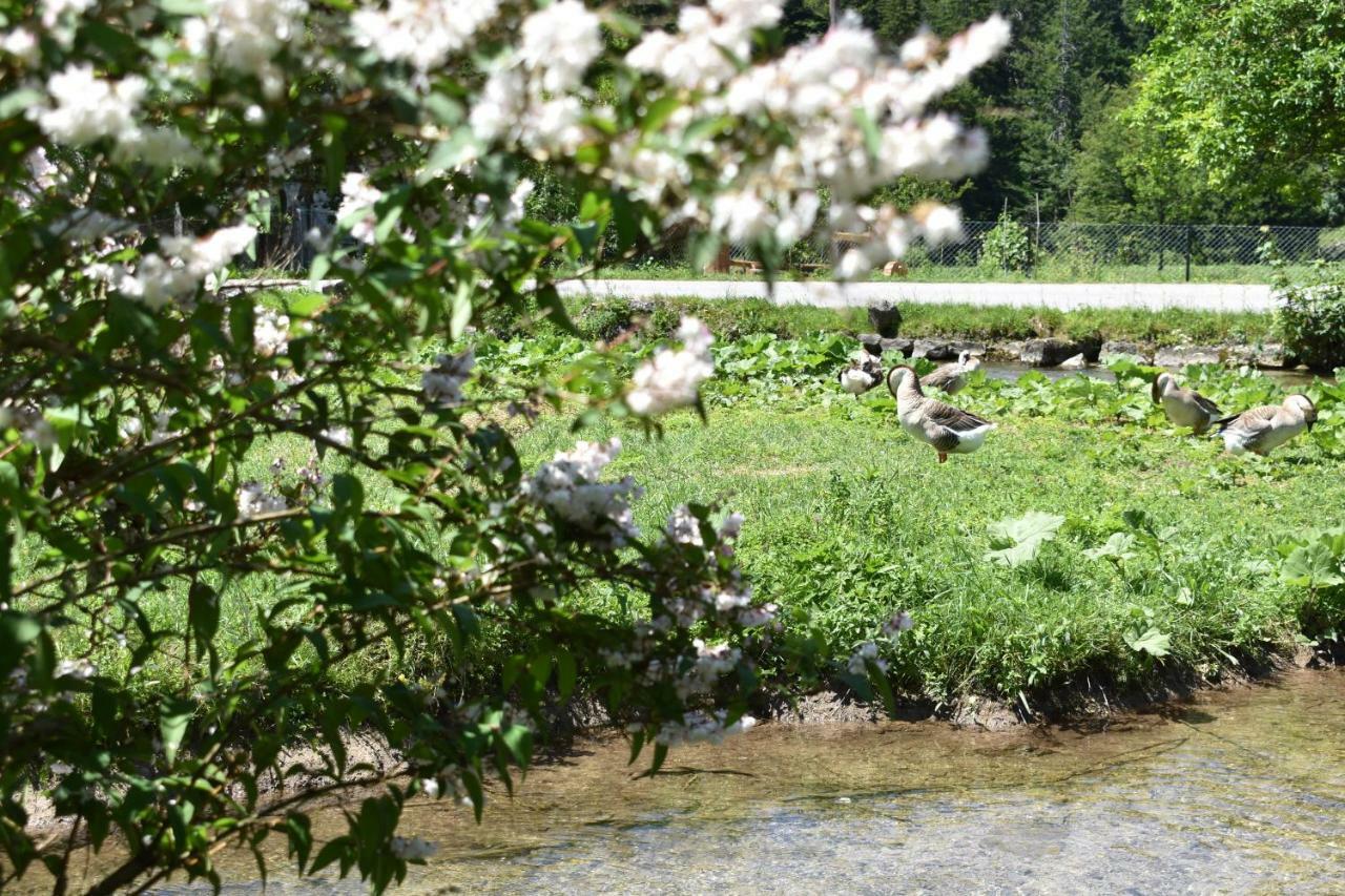 Plitvička Jezera Plitvice Panta Reiゲストハウス エクステリア 写真